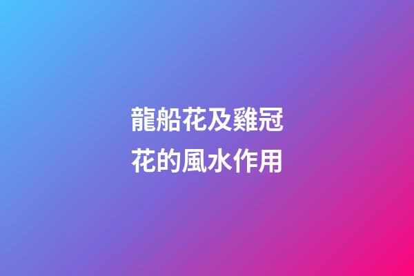 龍船花及雞冠花的風水作用?