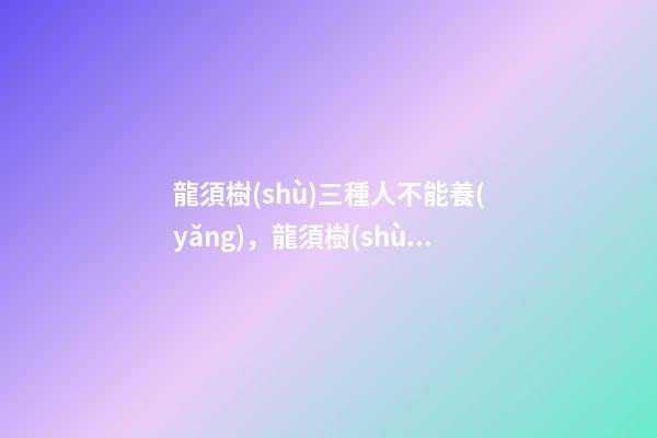 龍須樹(shù)三種人不能養(yǎng)，龍須樹(shù)有哪些特點(diǎn)