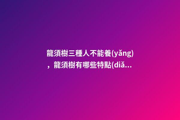 龍須樹三種人不能養(yǎng)，龍須樹有哪些特點(diǎn)