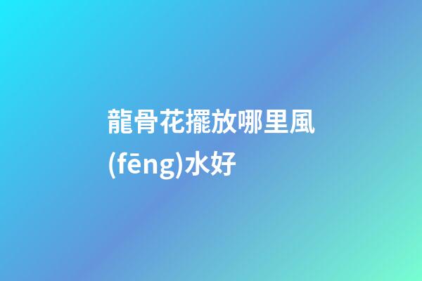 龍骨花擺放哪里風(fēng)水好