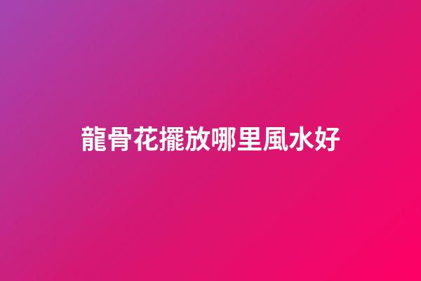 龍骨花擺放哪里風水好