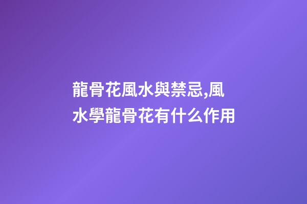 龍骨花風水與禁忌,風水學龍骨花有什么作用