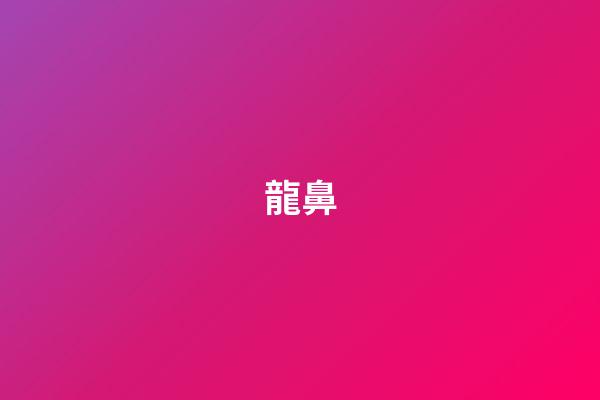 龍鼻