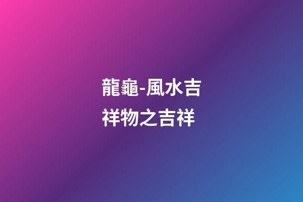 龍龜-風水吉祥物之吉祥
