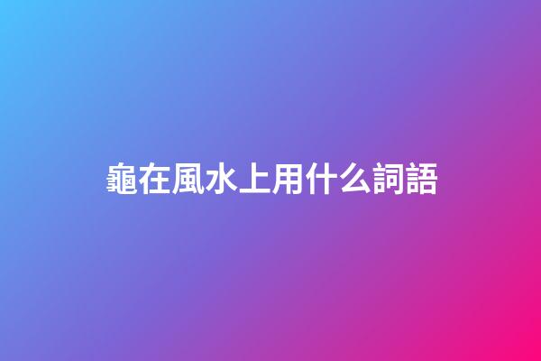 龜在風水上用什么詞語