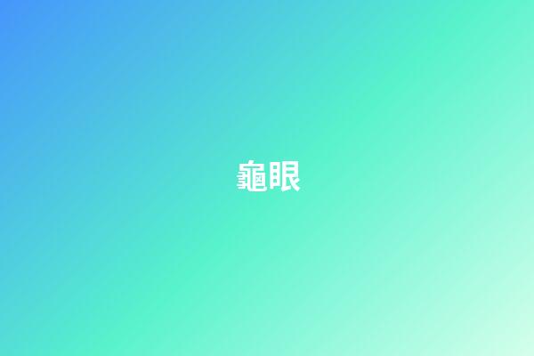 龜眼