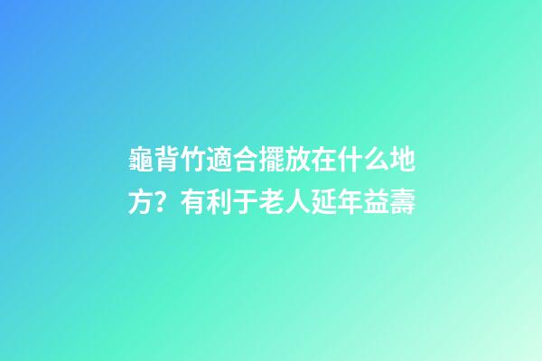龜背竹適合擺放在什么地方？有利于老人延年益壽